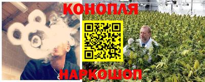 Альфа ПВП Можга