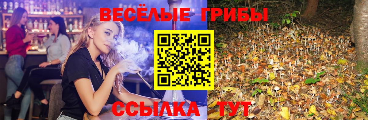 Кизилюрт  Псилоцибиновые грибы прущие грибы  Вход с VPN 